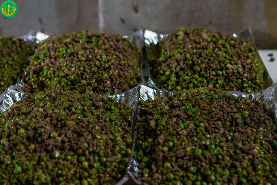 بارك الله لهما وبارك عليهما وجمع بينهما في خير "